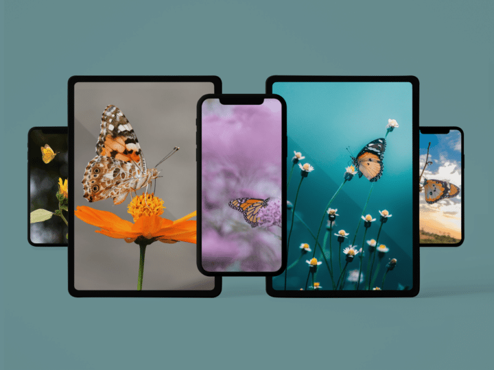 Buntes Schmetterlings-Hintergrundbild-Paket für iPhone und iPad