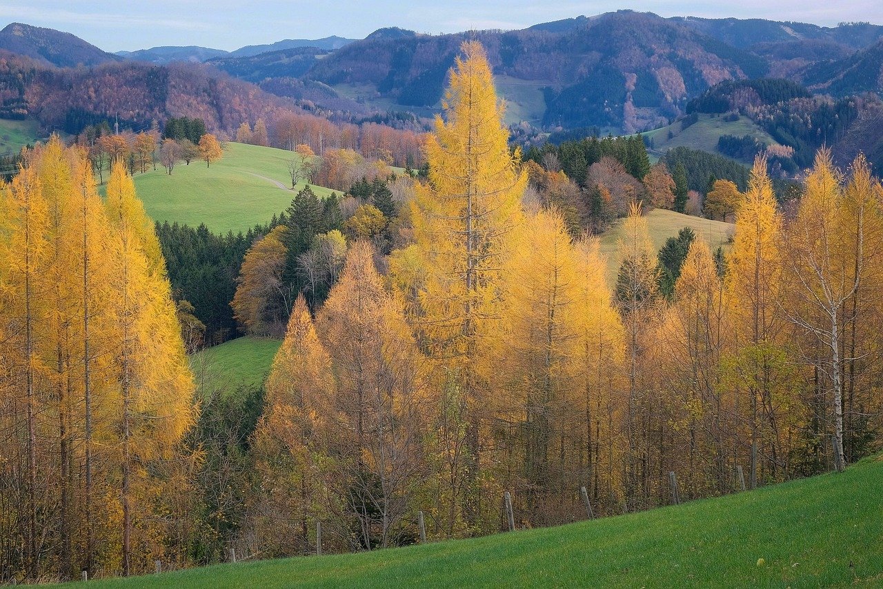 Fototapete Landschaft | Landschaftstapeten online bestellen